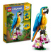 LEGO Delfín a želva 31128