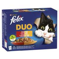 Felix Fantastic Duo lahodný výběr v želé - s kuřecím, hovězím, krůtím a jehněčím masem 12 x 85 g