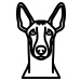 Vsepropejska Psí dekorace na zeď Plemeno: Faraonský pes