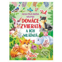 Domáce zvieratá a ich mláďatá (Moja prvá knižka nálepiek) - kniha z kategorie Samolepky