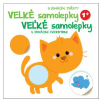 Velké samolepky s domácími zvířaty Kočka