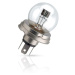 Philips R2 24V 55/50W P45t-41 24V Halogen 1ks 13620C1