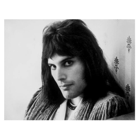 Umělecká fotografie Singer Freddie Mercury (1946-1991) in The 70'S, (40 x 30 cm)