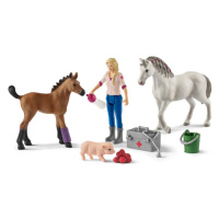 Schleich 42486 Návštěva lékaře u klisny a hříběte