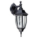 ACA Lighting Garden lantern venkovní nástěnné svítidlo HI6172B