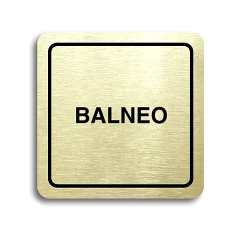 Accept Piktogram "balneo" (80 × 80 mm) (zlatá tabulka - černý tisk)