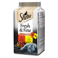 Sheba Fresh & Fine s hovězím a kuřecím 6 x 50 g