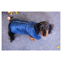 Vsepropejska Targa podzimní bunda pro psa Barva: Modrá, Délka zad (cm): 23, Obvod hrudníku: 27 -