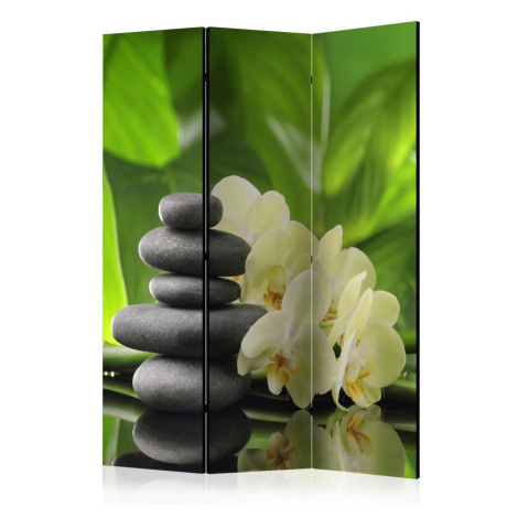Paraván Spa Garden Dekorhome Artgeist
