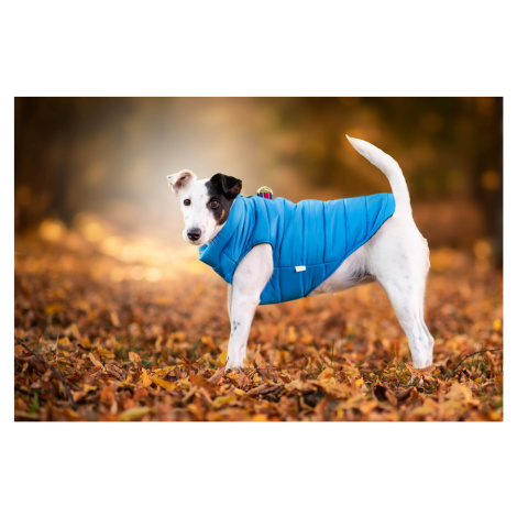 Vsepropejska Color-rainy obleček pro psa na zip Barva: Modrá, Délka zad (cm): 34, Obvod hrudníku