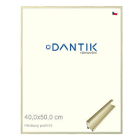 DANTIK rámeček 40 × 50, ALU profil 7001 zlatý lesklý alternativa plexi čiré