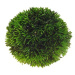 Hobby Plant Ball 9 cm