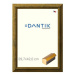 DANTIK rámeček 29,7 × 42, Forgia Gold plexi čiré