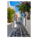 Fotografie narrow street in Mykonos, Dcelotti, 26.7 × 40 cm