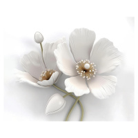 Obrazy na stěnu - Bílé květy Rozměr: 40x50 cm, Rámování: bez rámu a bez vypnutí plátna