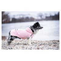 Vsepropejska Roy reflexní pláštěnka pro psa Barva: Růžová, Délka zad (cm): 50, Obvod hrudníku: 6