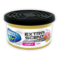 Power Air Extra Scent Bubble Gum 42g