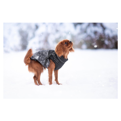 Vsepropejska Adon zimní bunda pro psa s postrojem Barva: Černá, Délka zad (cm): 33, Obvod hrudní