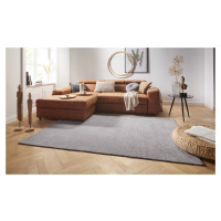 Mint Rugs - Hanse Home koberce Kusový koberec Cloud 103934 Lightgrey - 80x250 cm