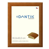 DANTIK rámeček 30 × 40, LEDVINKA světle hnědý plexi čiré