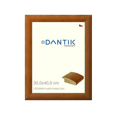 DANTIK rámeček 30 × 40, LEDVINKA světle hnědý plexi čiré