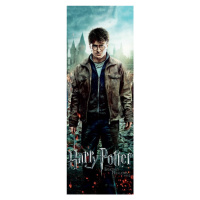 Umělecký tisk Harry Potter - Relikvie smrti, 64x180 cm