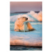 Fotografie Polar Bear Resting on Sea Ice, Nunavut, Canada, Paul Souders, 26.7 × 40 cm