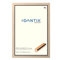 DANTIK rámeček 20 × 30, CARINA černý sklo čiré