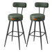 Set dvou barových židlí EKHO LBC889C01