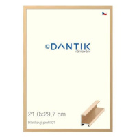 DANTIK rámeček 21 × 29,7, ALU profil 6001 Zlatý lesklý sklo čiré