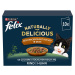 FELIX Naturally Delicious rozmanitost ze statku 10 × 80 g