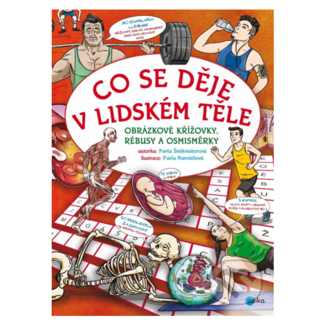 Co se děje v lidském těle - Pavla Šmikmátorová, Pavla Navrátilová (ilustrácie) - kniha z kategor EDIKA