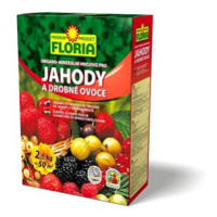 FLORIA Hnojivo - jahody a ovoce 2,5 kg