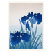 Obrazová reprodukce Blue Iris Flowers (Japandi Vintage) - Ohara Koson, (30 x 40 cm)