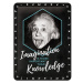 Plechová cedule Einstein Imagination & Knowledge, (15 x 20 cm)