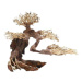Dupla Bonsai M přírodní dřevěná dekorace 30 × 15 × 23 cm