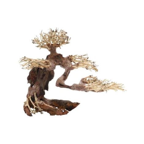 Dupla Bonsai M přírodní dřevěná dekorace 30 × 15 × 23 cm Hobby Dohse