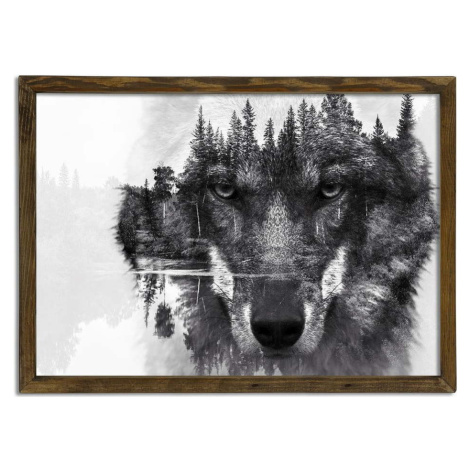Nástěnný obraz Husky, 70 x 50 cm Evila Originals