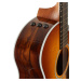 Taylor 214ce Plus Special Ziricote