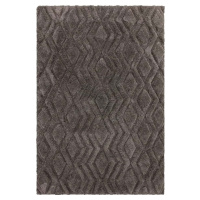 Šedý koberec 170x120 cm Harrison - Asiatic Carpets