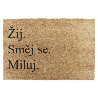 Rohožka z kokosového vlákna 40x60 cm Žij a Miluj – Artsy Doormats