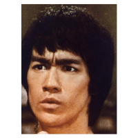 Umělecká fotografie Bruce Lee, Big Boss 1971 Directed By Wei Lo And Chia-Hsiang Wu, (30 x 40 cm)