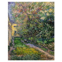 Obrazová reprodukce The garden at the asylum at Saint-Rémy (1889), Vincent van Gogh, 30 × 40 cm