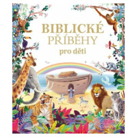 Biblické příběhy pro děti - Diane Le Feyer