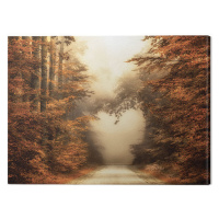 Obraz na plátně Lars Van De Goor - Fall In Love, 2 - 80×60 cm