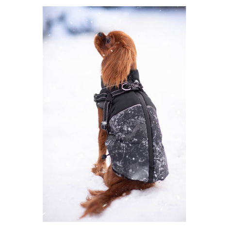 Vsepropejska Adon zimní bunda pro psa s postrojem Barva: Černá, Délka zad (cm): 42, Obvod hrudní