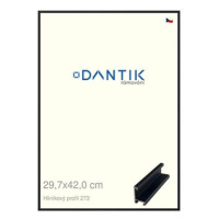 DANTIK rámeček 29,7 × 42, ALU profil 7273 Černý matný plexi čiré