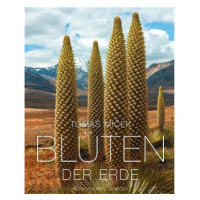 Blüten der Erde