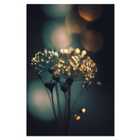 Fotografie Glowing Dots, Treechild, (26.7 x 40 cm)