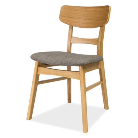 Jídelní židle SIGCD-61 dub/šedá